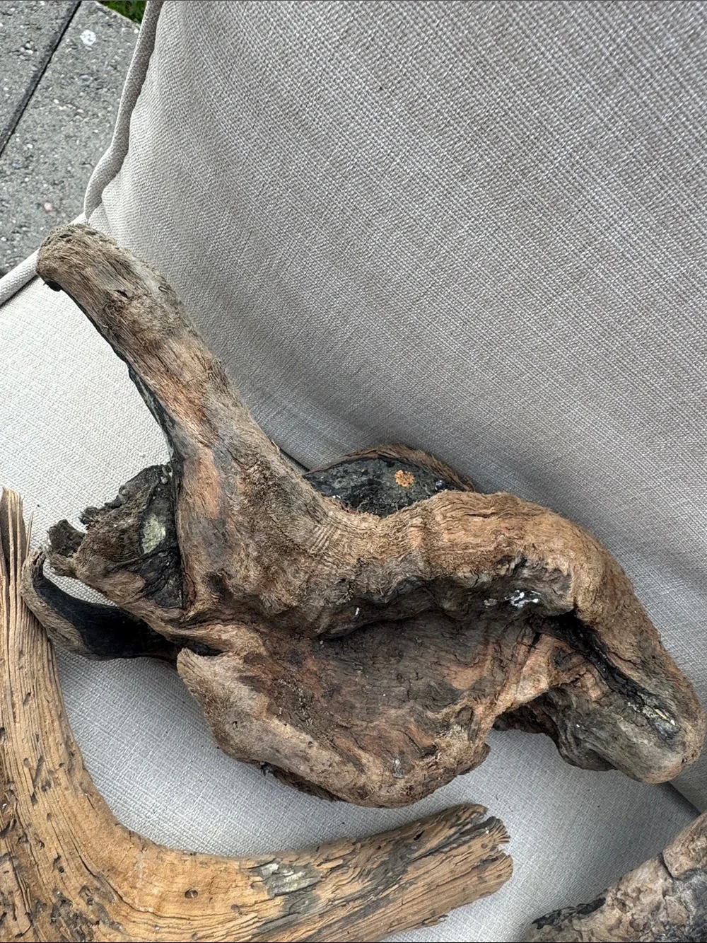 11 pc (5lbs shipped) Natural Driftwood Decorative Accent Pieces-craft & display